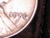 IMG_20120314_205016.jpg
