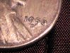 IMG_20120314_204949.jpg
