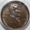 Obverse2.jpg