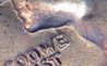 US-25Cents-Clashed-Zoom1.jpg