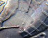 US-25Cents-Clashed-Back-Zoom3.jpg