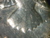 1982P Kennedy REV Plugged Tailfeathers.jpg