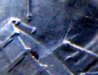 US-25Cents-Clashed-Back-Zoom5.jpg