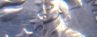 US-25Cents-Clashed-Back-Zoom6.jpg