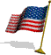 big-usa-flag.gif