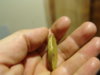 DSC05447.JPG