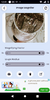Screenshot_20221022-004150.png
