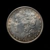 1891 S morgan obv v2.jpg