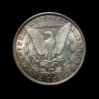 1891 S morgan rev v2.jpg