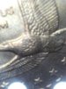 Wounded Eagle 2000 P--1.jpg