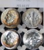 1961D.jpg