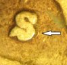 Dime 1941S RPM 4 mm2.jpg