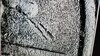 20221225_051857.jpg