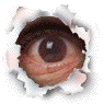 eyethroughwhole.gif