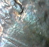 S20230111_015.jpg
