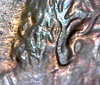 S20230111_027.jpg
