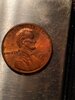IMG_20230217_032710.jpg