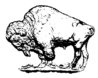 buff5c_1938d_rev_buff-bw.jpg