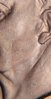 1976D_TI_ObvStriations.JPG