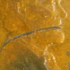 1945D_StrikeThrough_CloseUp.jpg