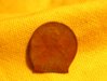 Lincoln dipped in coke 007.jpg