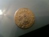 coin rear.jpg