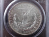 DSC01275-small.jpg