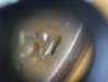 100_2346.jpg