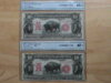 Bison 4-14-12 002.JPG