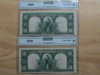 Bison 4-14-12 003.JPG