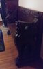 20221216_090413.jpg