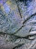 7FA361AA-EB33-4339-8C3C-CD3B6D264A89.jpeg