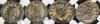 upload_2023-3-19_0-0-5.png