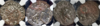 upload_2023-3-19_0-43-55.png