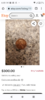 Screenshot_20230321-164933.png