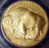 2006 $50 Buff Rev.jpg