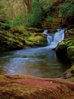 enchanted pool.jpg