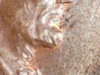 RSCN0066.JPG