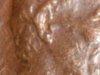 RSCN0070.JPG