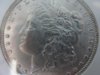 DSC01115.jpg