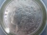 DSC01116.jpg