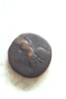 coin.png