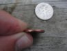 DSC01141.jpg