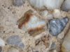 cointalk agate 8.jpg