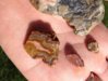 cointalk agate 10.jpg