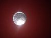 20230415_123256.jpg