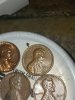 mir_20230424_132430.jpg