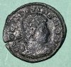 constans).jpg