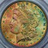 cpm_1884_PCGS_MS64_OBV1.jpg