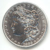morgan1883Pd2.jpg